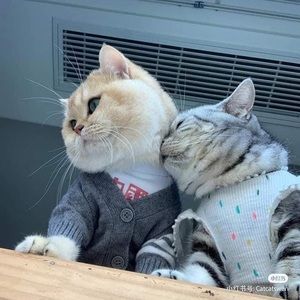 Meet your Posher, Linh